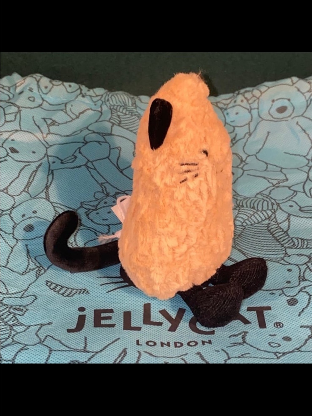 Jellycat Peanut Cat - Picture 3 of 7